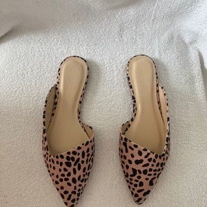 Leopard Print Slip on Shoes